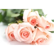 Ajándékok Nőknek, lányoknak